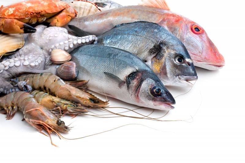 مركزات علف سمك 45% بروتين